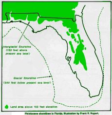 Florida submerged